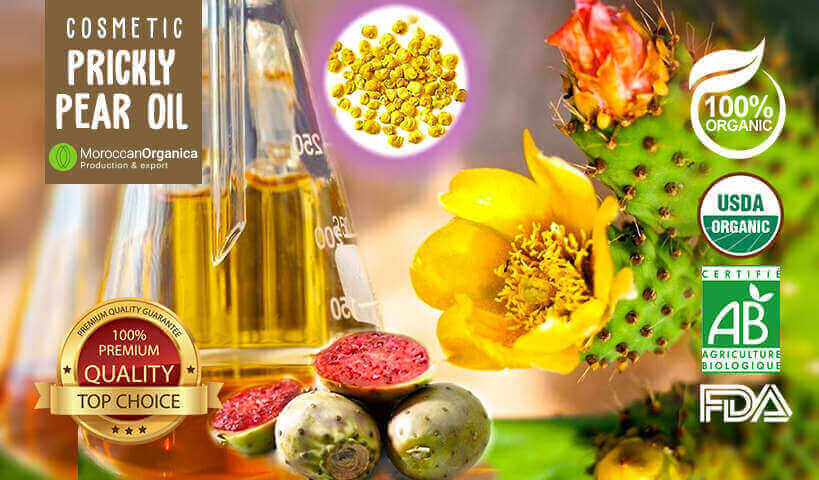 Prickly Pear Oil